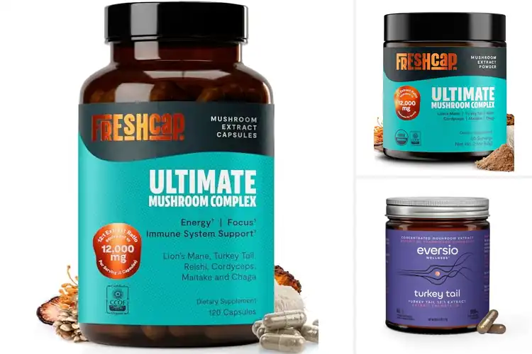 Detailed view of Best 12:1 Fruiting Body Extract: Top 10 Wellness Boosters