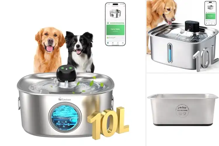 Detailed view of Best 2.64 Gallon Water Capacity