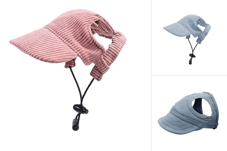 Detailed view of Best Adjustable Dog Hats