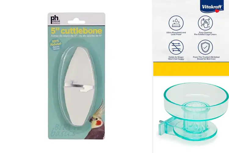 Detailed view of Best Bird Cage Accessories
