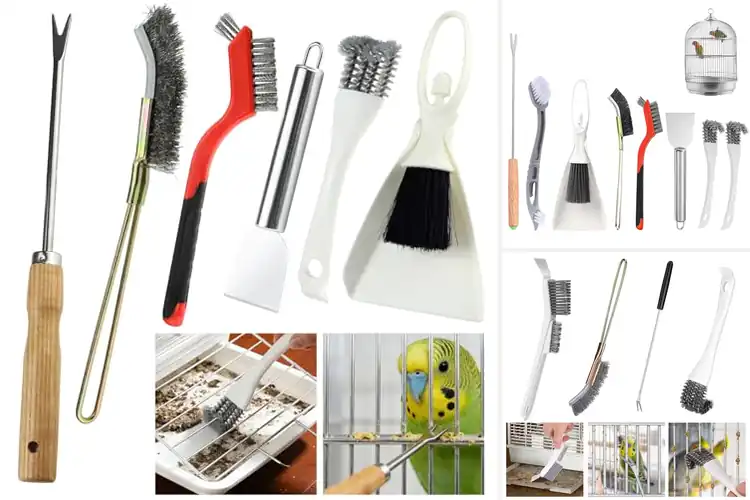 Detailed view of Best Bird Cage Cleaning Brushes