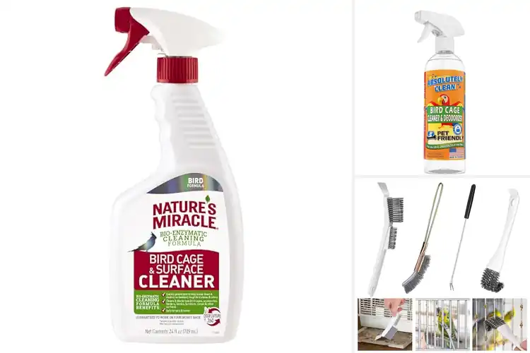 Detailed view of Best Bird Cage Cleaning Solutions