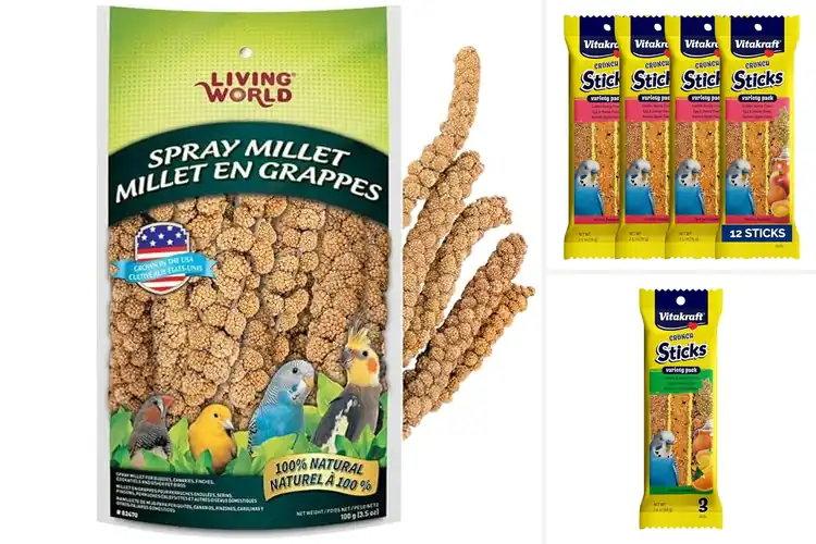 Detailed view of Best Bird Treats: 10 Healthy & Fun Snacks for Happy Birds
