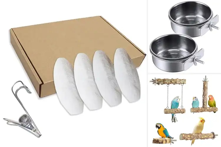Detailed view of Best Budgie Cage Accessories