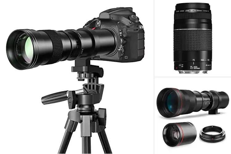 Detailed view of Best Camera Lenses For Zoom Photography
