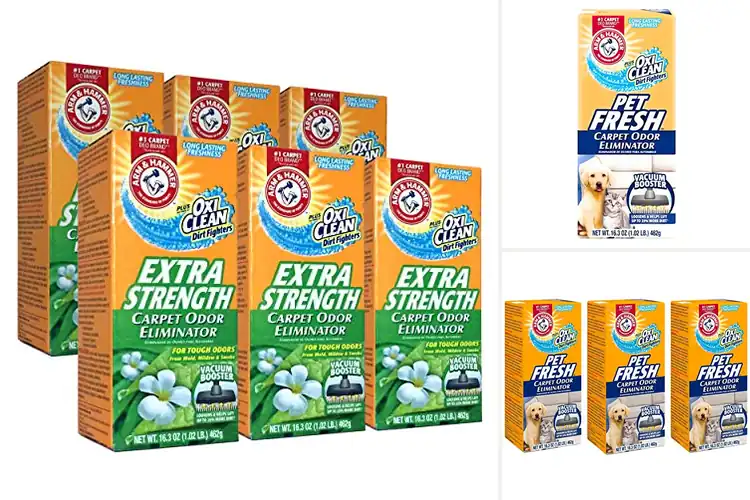 Detailed view of Best Carpet Odor Eliminators