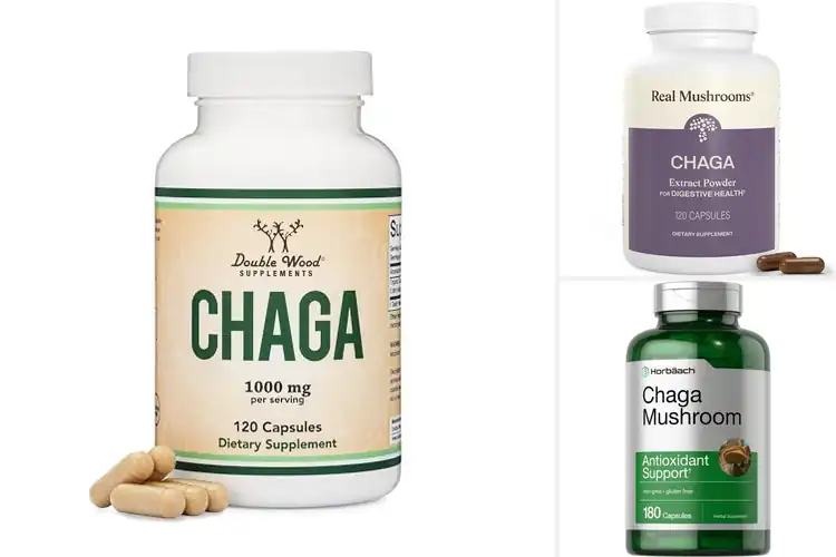 Detailed view of Best Chaga Supplement: Top Picks for Natural Health Boost