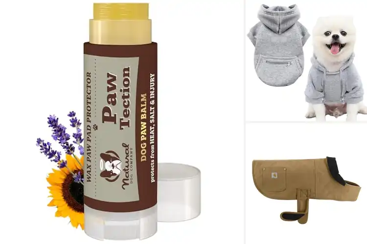 Detailed view of Best Cold Weather Dog Accessory