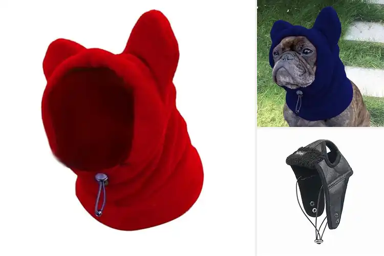 Detailed view of Best Cold Weather Dog Cap