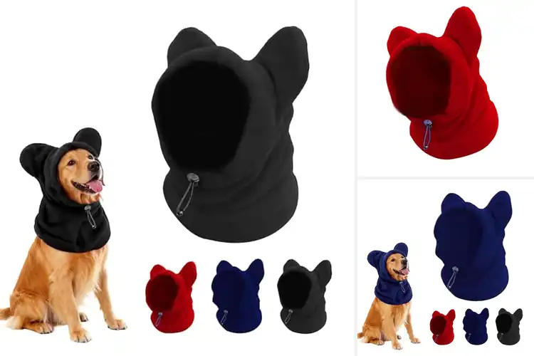 Detailed view of Best Cold Weather Dog Hat