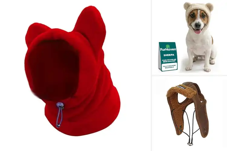 Detailed view of Best Cold Weather Dog Hats: 10 Cozy & Stylish Picks