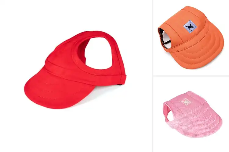 Detailed view of Best Comfortable Dog Hats: Top 10 Stylish & Adjustable Picks