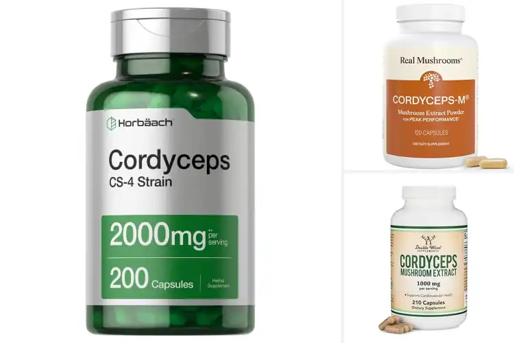 Detailed view of Best Cordyceps Supplement