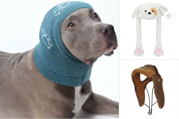 Detailed view of Best Dog Ear Flap Hats: Top 10 Cozy Picks for Your Pup