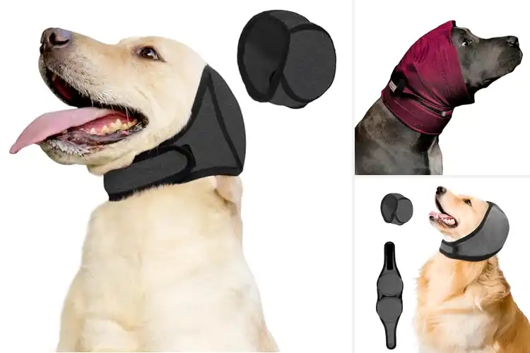 Detailed view of Best Dog Ear Flaps: Top 10 Tested & Reviewed for a Calm Pup