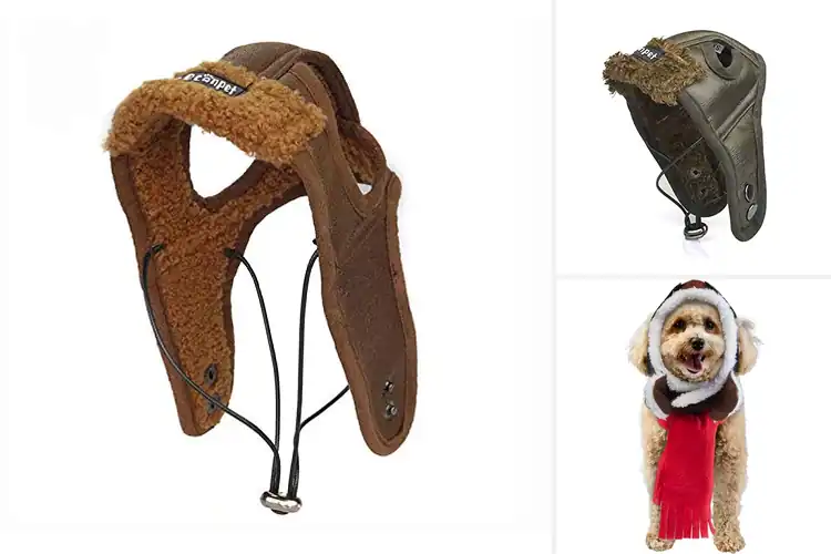 Detailed view of Best Dog Pilot Hats