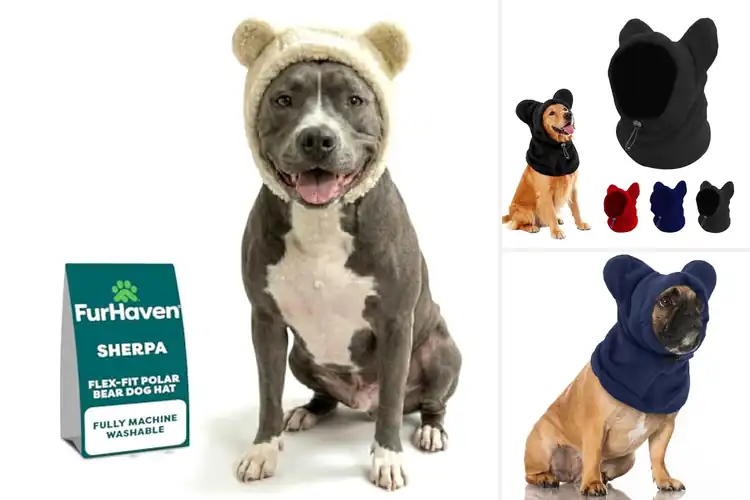 Detailed view of Best Dog Winter Hats