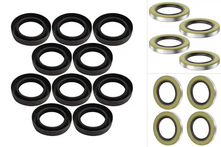 Detailed view of Best Double Lip Seals