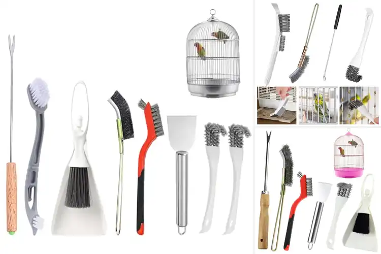 Detailed view of Best Durable Bird Cage Cleaning Brushes