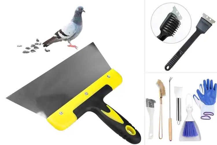 Detailed view of Best Durable Bird Cage Scrapers