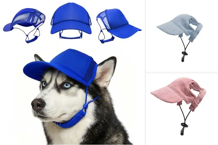 Detailed view of Best Durable Dog Hat