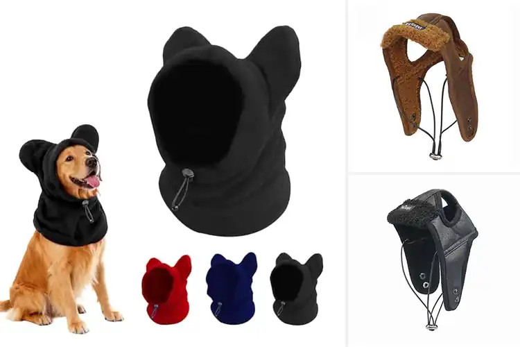 Detailed view of Best Durable Winter Dog Hat