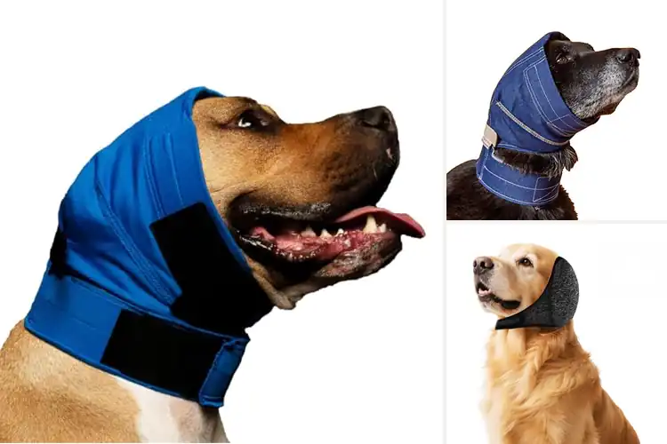 Detailed view of Best Ear Flap Coverage