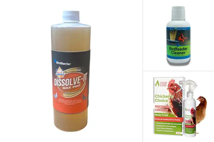 Detailed view of Best Eco-Friendly Bird Care Products