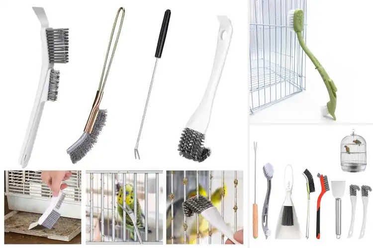 Detailed view of Best Ergonomic Bird Cage Brushes