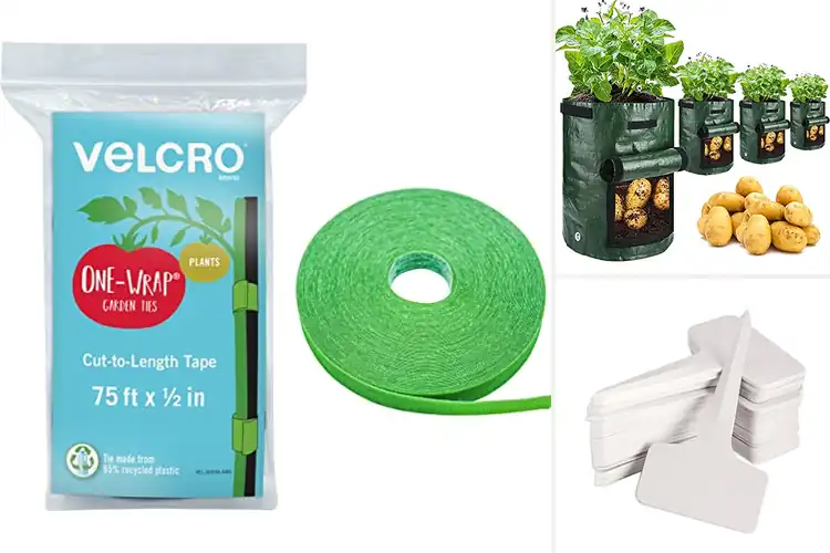 Detailed view of Best Garden Essentials