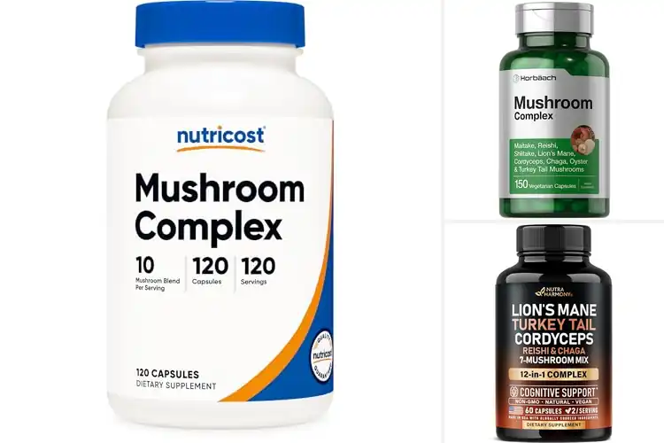 Detailed view of Best Gluten Free Mushroom Supplement