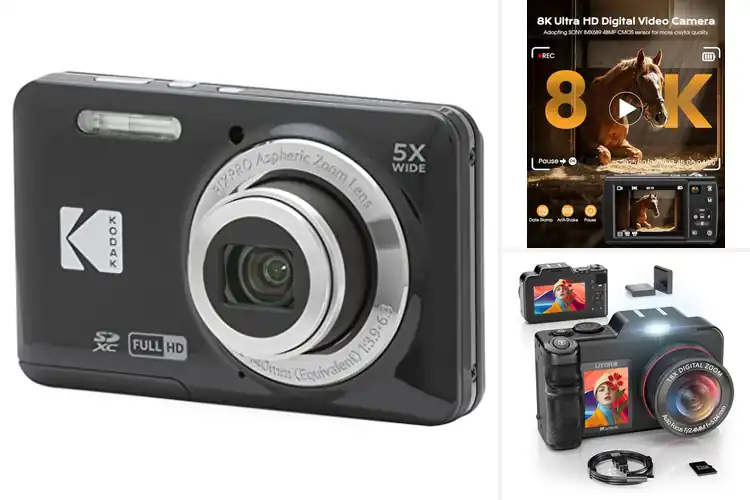 Detailed view of Best High-Megapixel Digital Cameras