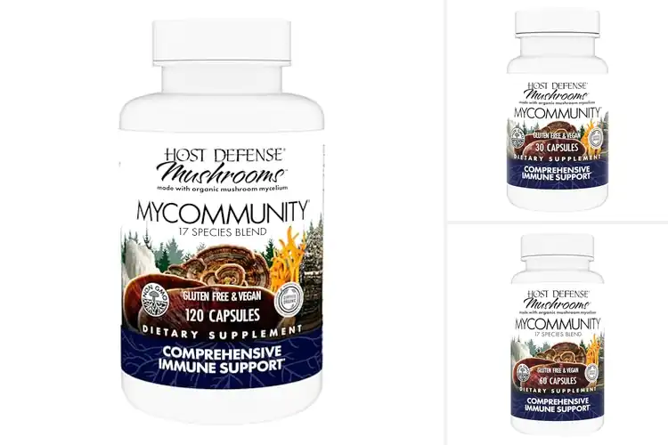 Detailed view of Best Immune Support Mushroom Blend