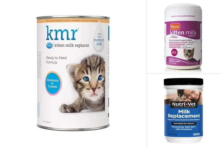 Detailed view of Best Kitten Milk Alternatives