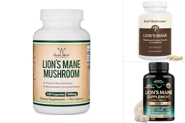 Detailed view of Best Lion’s Mane Supplement