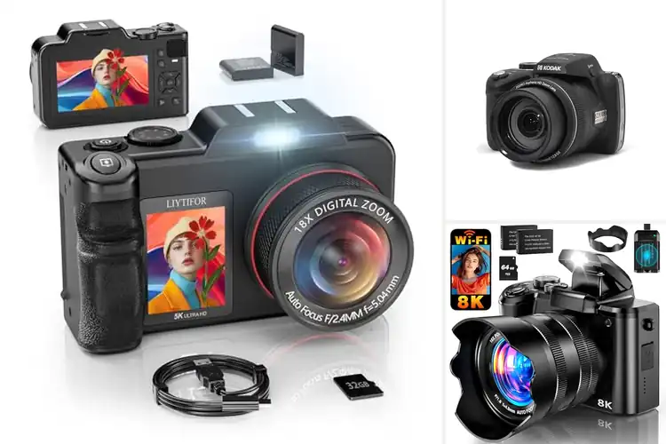 Detailed view of Best Long-Zoom Digital Cameras