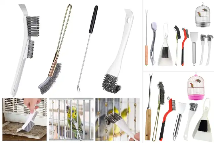 Detailed view of Best Multi-Purpose Bird Cage Brushes