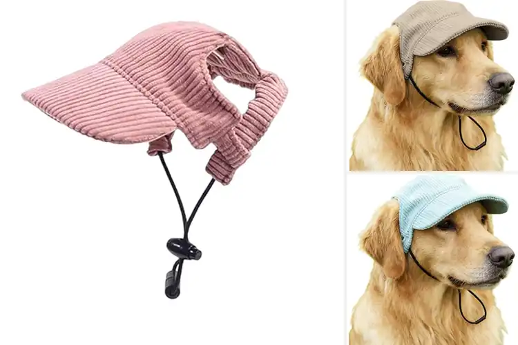 Detailed view of Best Multi-Wear Dog Hats
