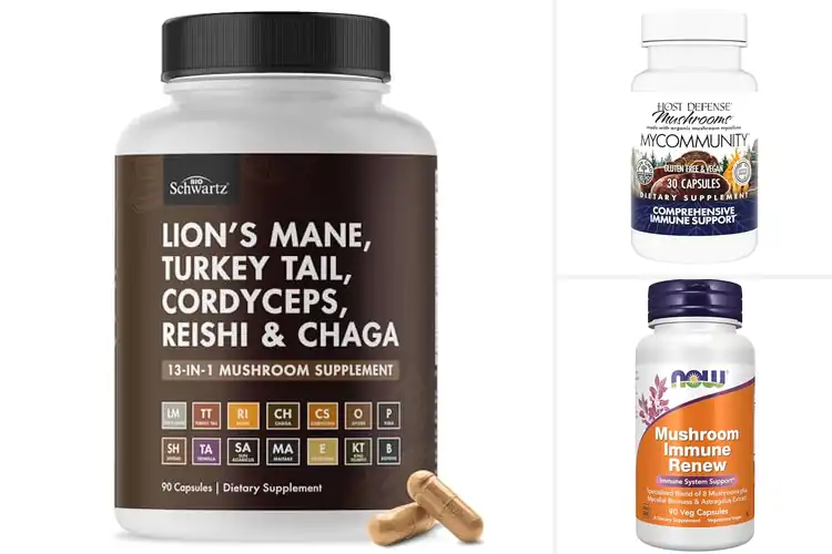 Detailed view of Best Mushroom Immune System Support