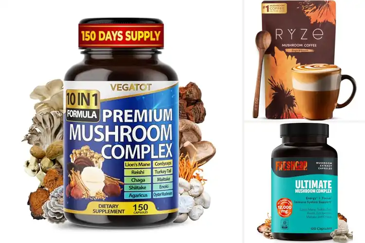 Detailed view of Best Mushroom Supplement: Top 10 Picks for Ultimate Wellness