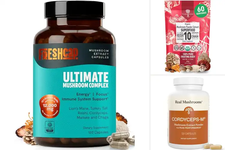 Detailed view of Best No Filler Mushroom Supplement