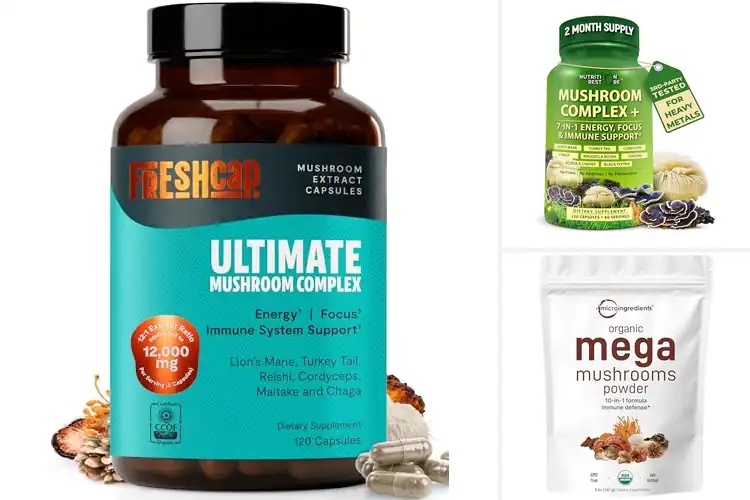 Detailed view of Best Organic Mushroom Supplement