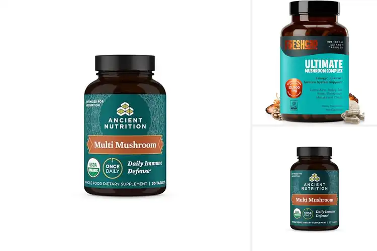 Detailed view of Best Paleo Friendly Mushroom Supplement