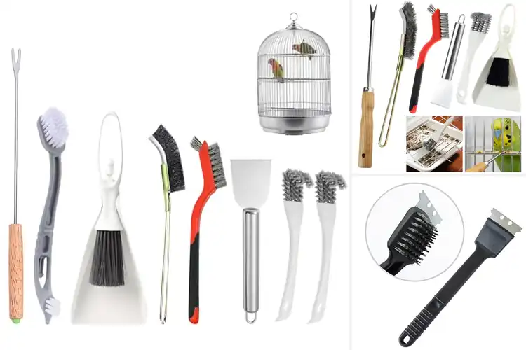 Detailed view of Best Parrot Cage Brushes