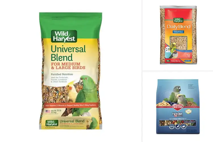 Detailed view of Best Pet Bird Food: Top Brands for a Healthy, Happy Bird