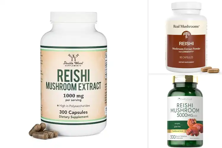 Detailed view of Best Reishi Supplement