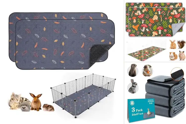 Detailed view of Best Reusable Cage Liner Alternatives