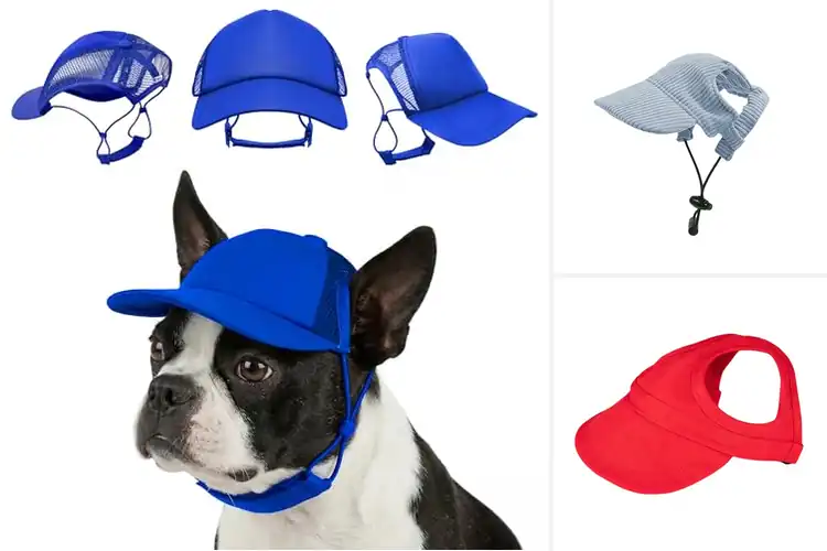 Detailed view of Best Secure Dog Hats: Top 10 Picks for Safety & Style