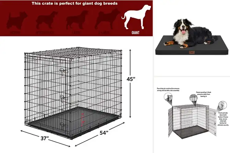 Detailed view of Best Size XXL For Large Breeds