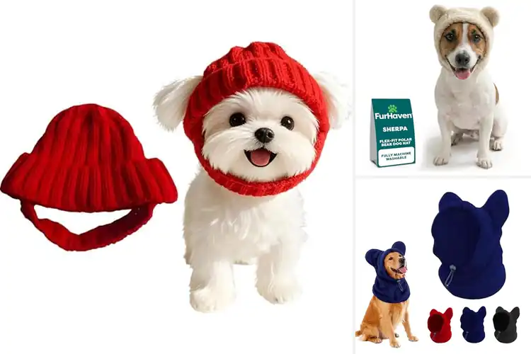 Detailed view of Best Soft Interior Dog Winter Hats